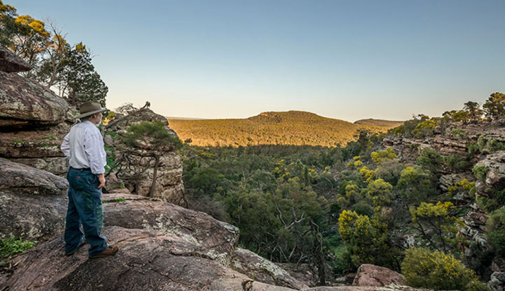 National Parks - National Parks -