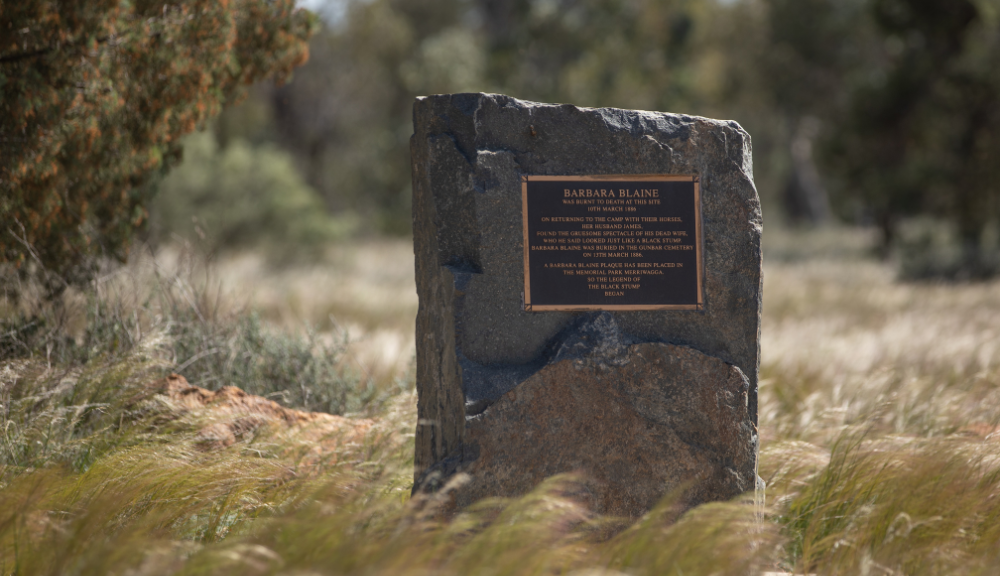 2 Carrathool Shire -