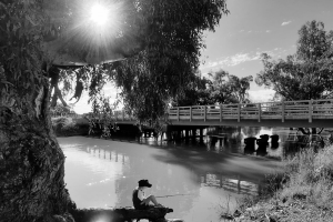Carrathool Shire -